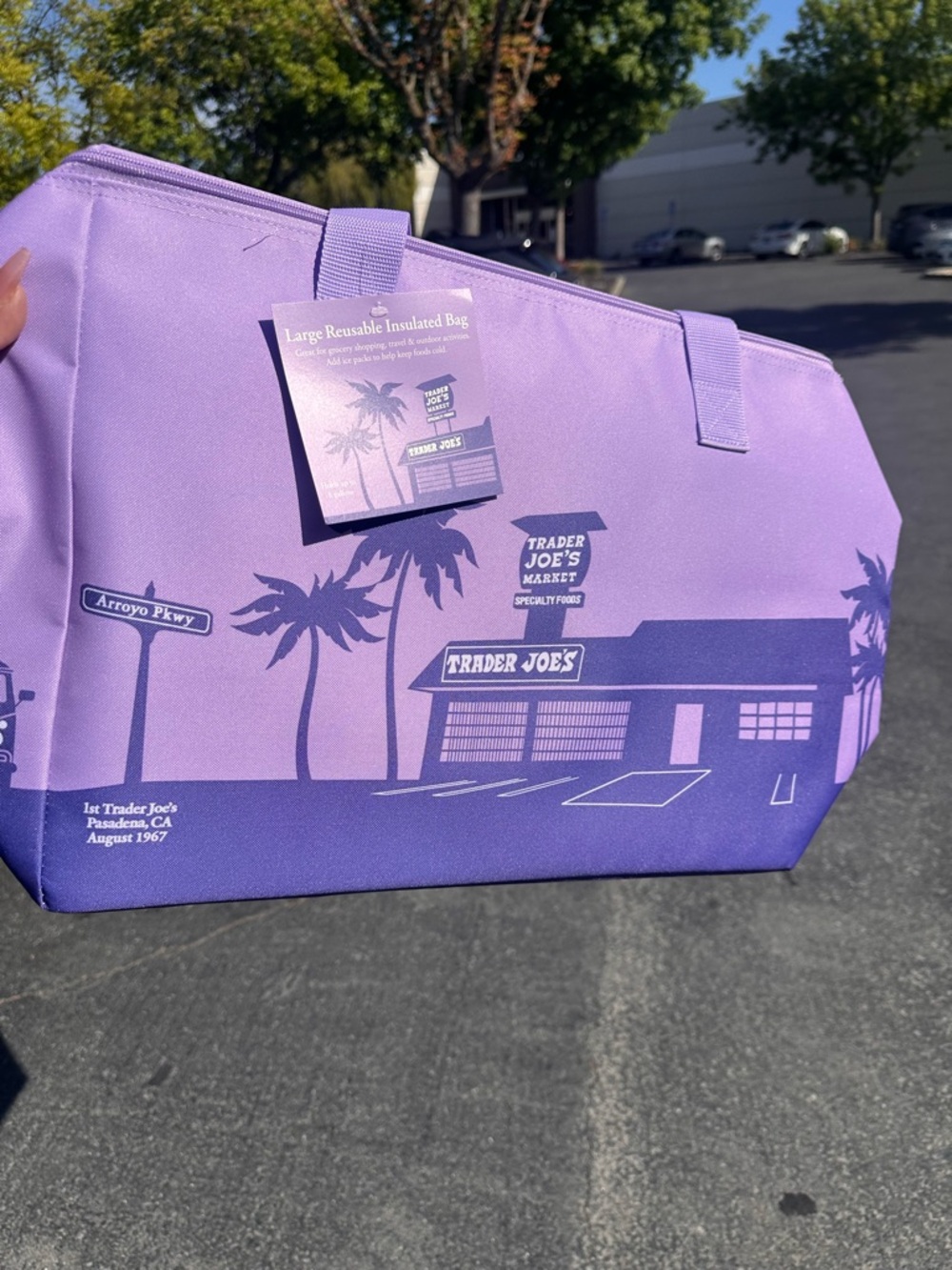 Trader Joe's Purple Rain Large Reusable Insulated Bag